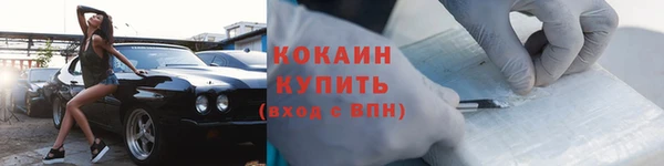 mix Богородицк